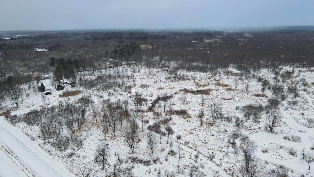 78.5 Acres Alabaster Road - Photo 1