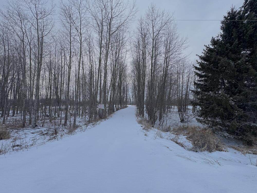 1.5 Acres Alabaster Road - Photo 1