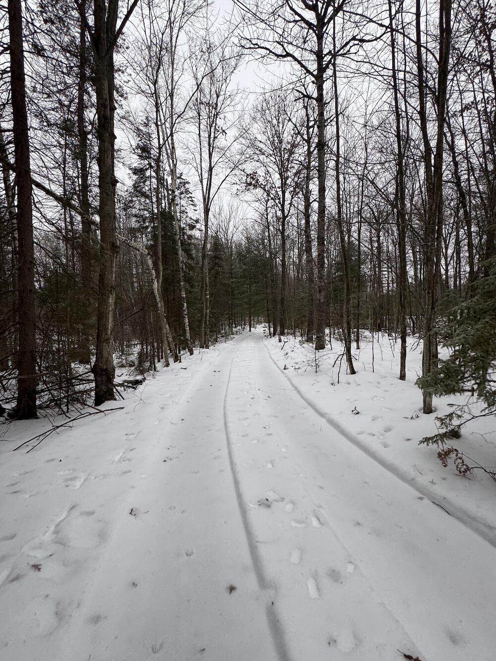  Loxley Road - Photo 1