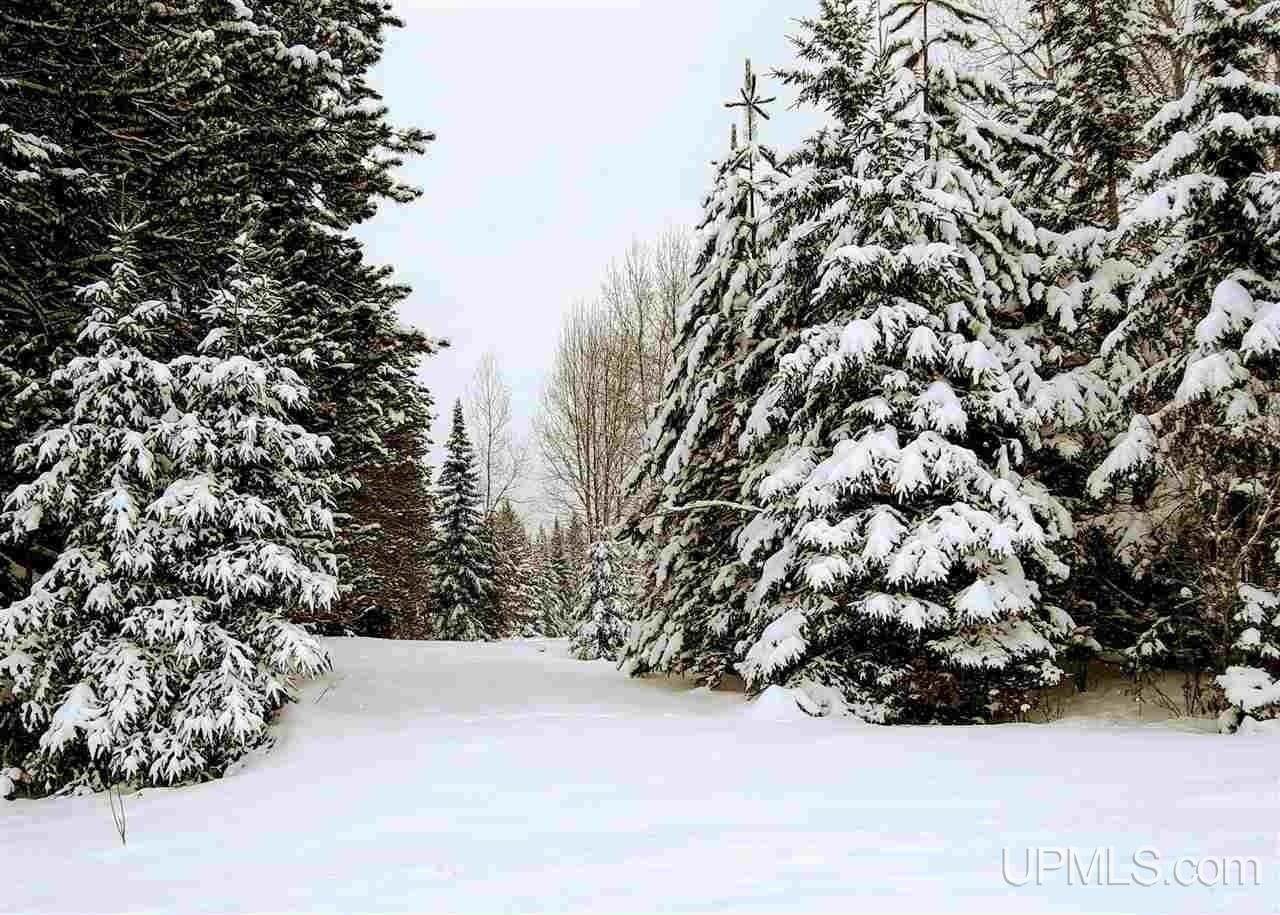 15169 Bellaire Street - Photo 1