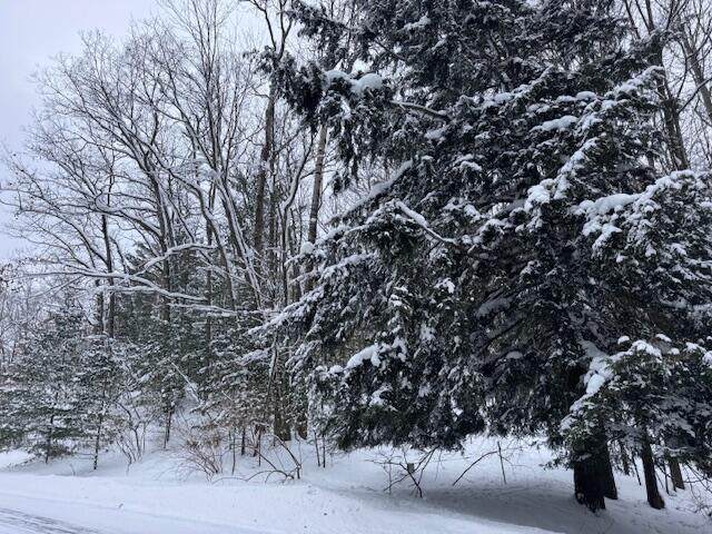  Frank Smith Rd - Photo 1