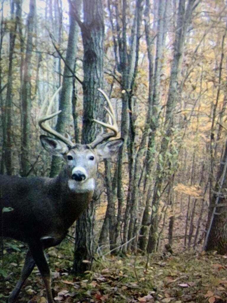 V/L 125th Avenue - Photo 1