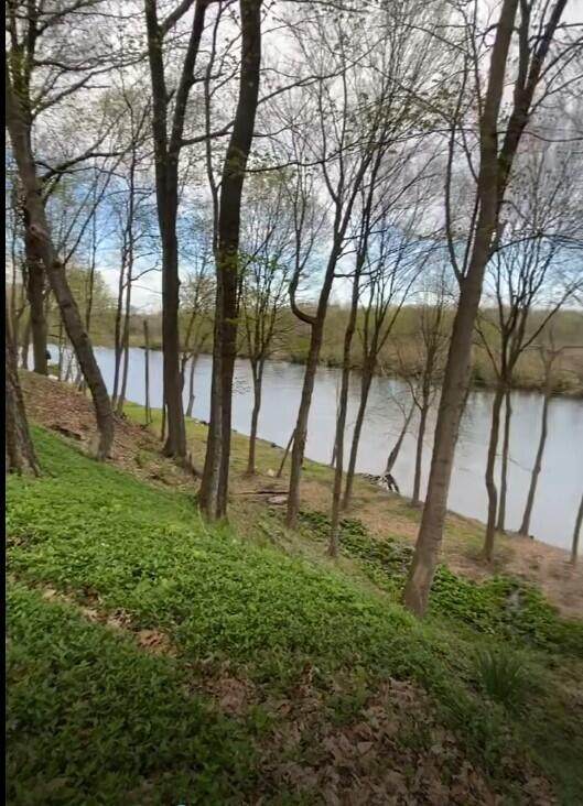 2348 Spring Arbor - Photo 1