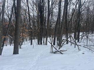 9980 Red Deer Court - Photo 1