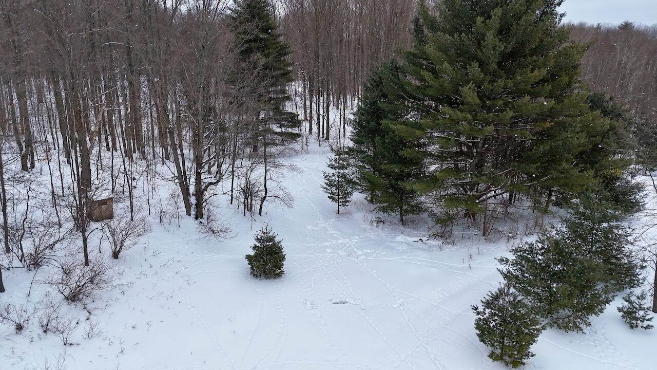 V/L 17 Mile Rd - Photo 1