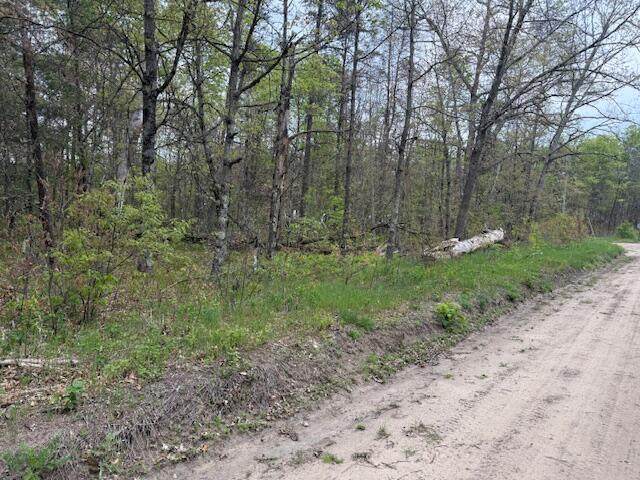 VL Mt. Vernon Avenue - Photo 1