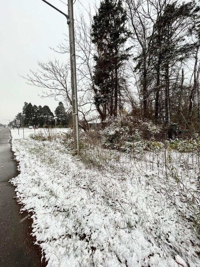 0 Red Arrow Highway - Photo 1