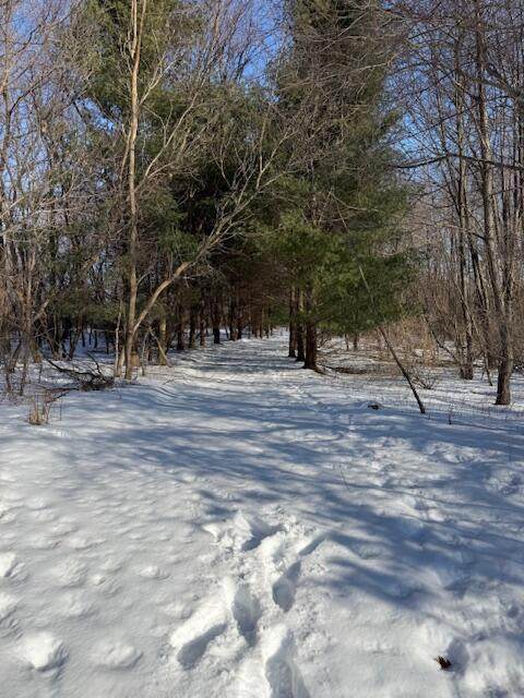 Warner Road - Photo 1