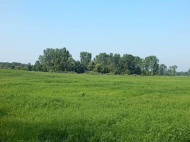 1611 Hyde Road - Photo 1