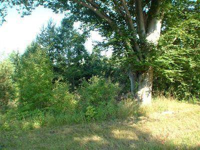 5893 Austrian Pine Lane - Photo 1