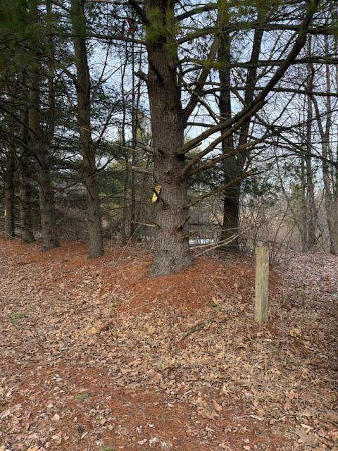 4311 Youngman Road - Photo 1