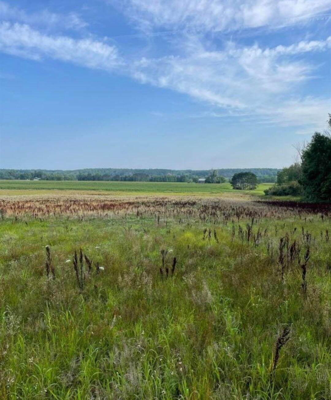 10 Acres +/- 3 Mile Road - Photo 1