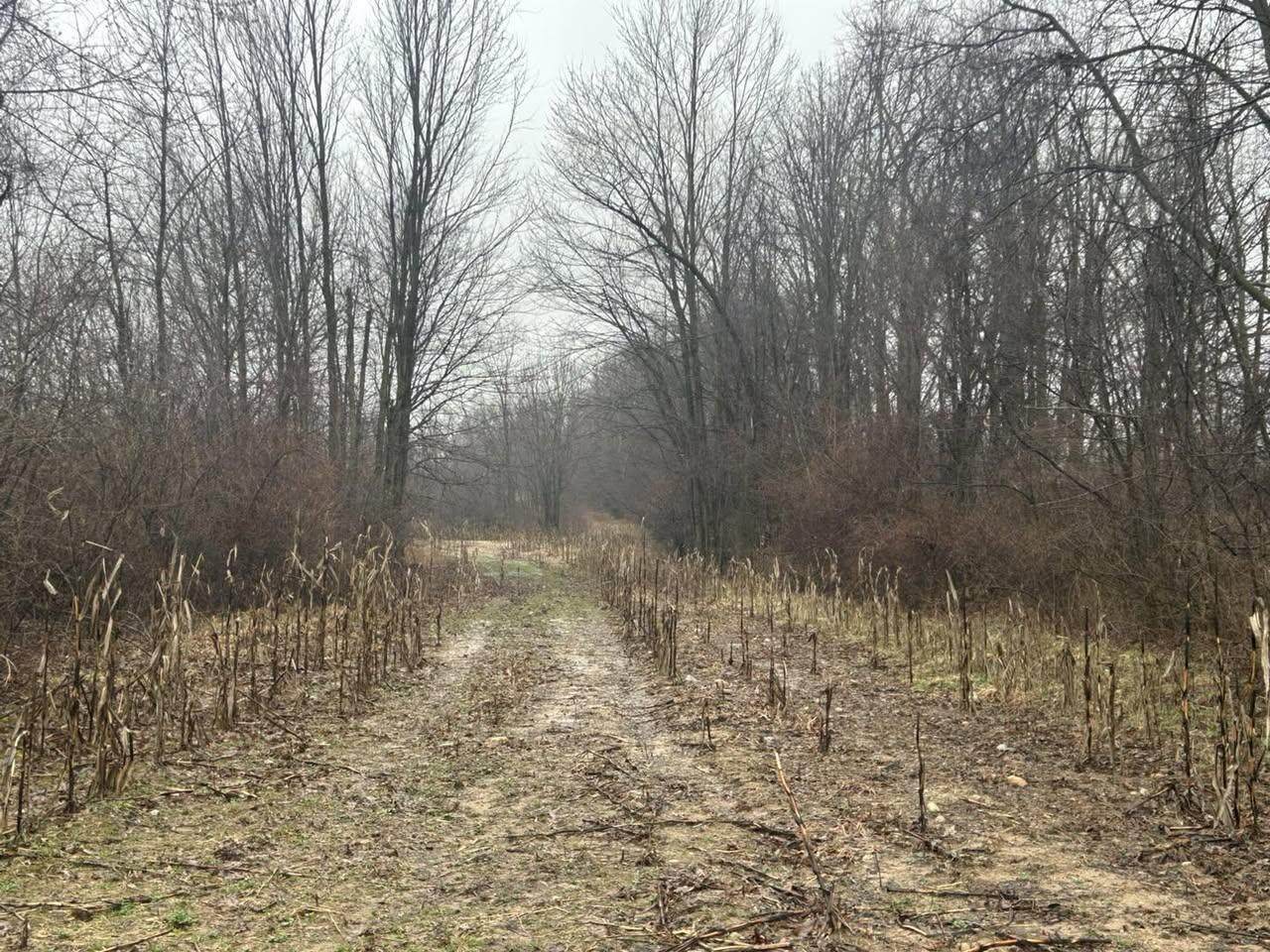  Hillsdale Road - Photo 1