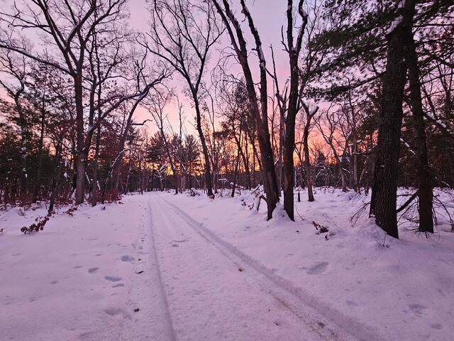 V/L 168th Avenue - Photo 1