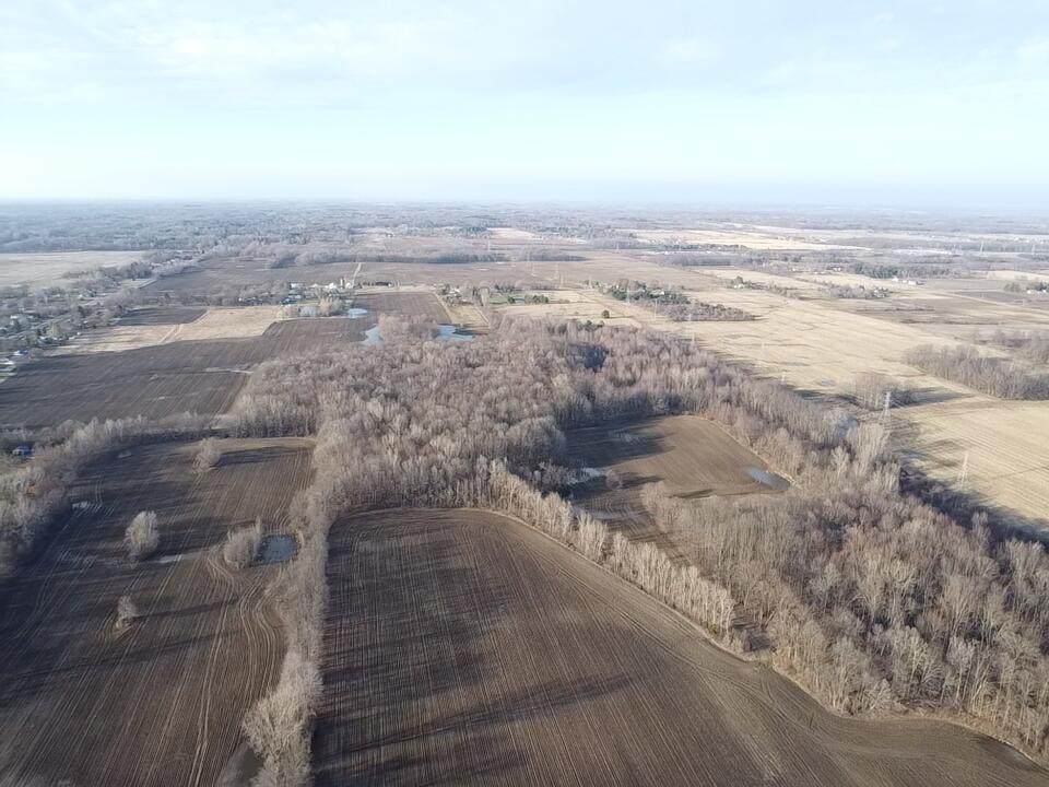  Vl E Dodge Rd - Photo 1