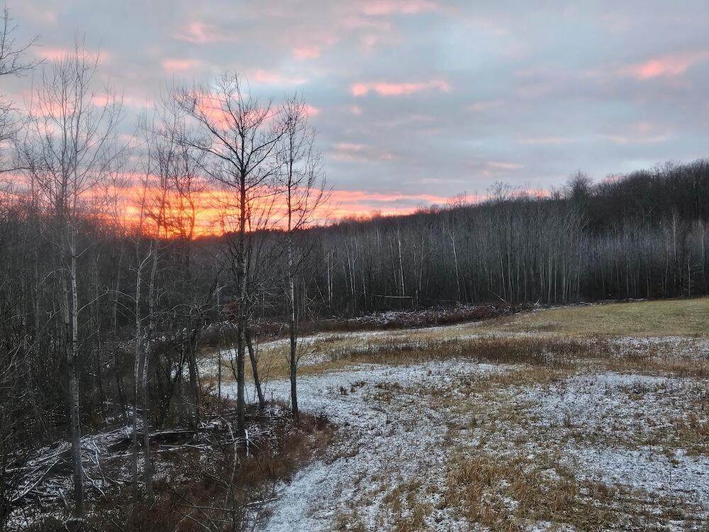 72 acres Miller Road - Photo 1