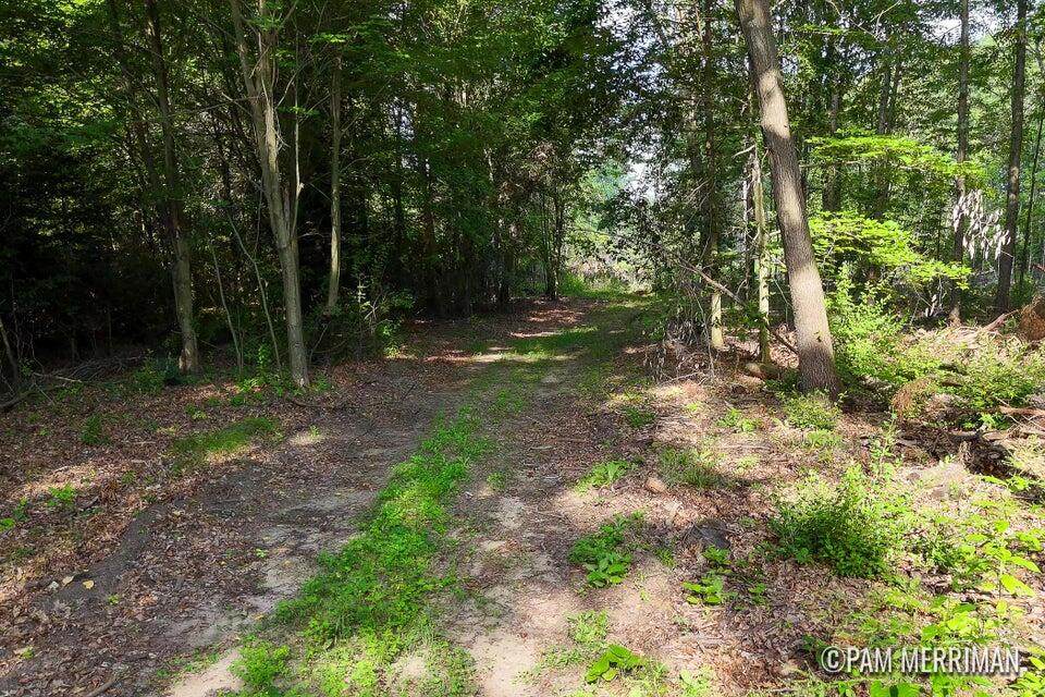 Parcel E Willard Road - Photo 1