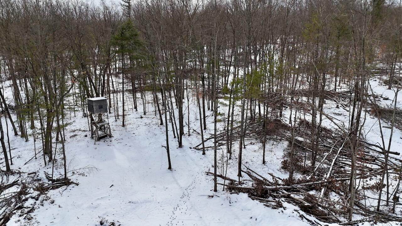  Long Lake Road - Photo 1