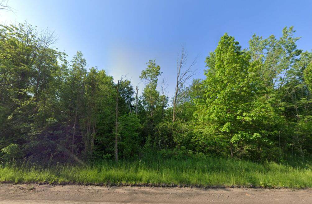  Farrand Road - Photo 1