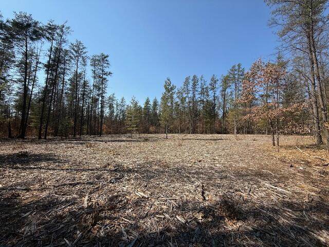 5209 Nelson Road - Photo 1