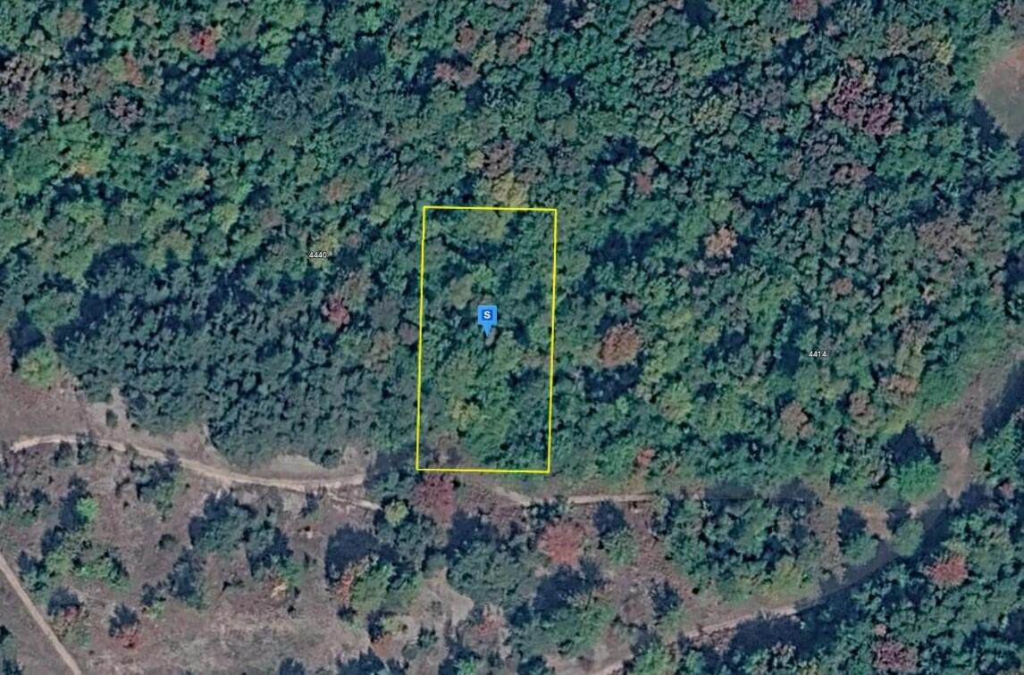 4420 Schoolhouse Road - Photo 1