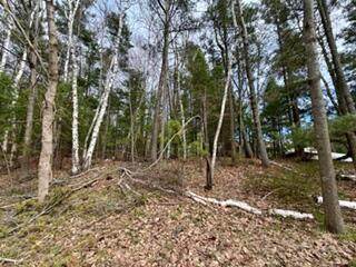 00 Lakeshore Drive - Photo 1