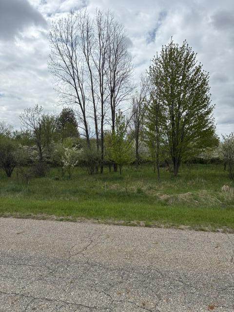 4680 Luce Street - Photo 1