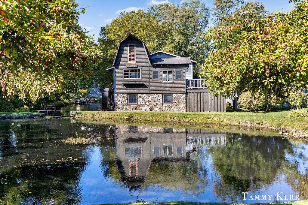 844 Holland Street - Photo 1