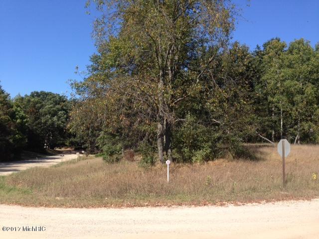 10772 Shawnee Trail - Photo 1