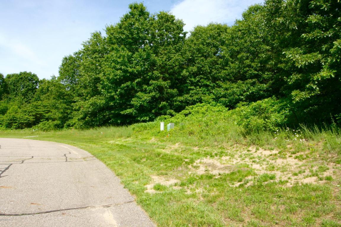 10014 Grape Ridge #14 - Photo 1