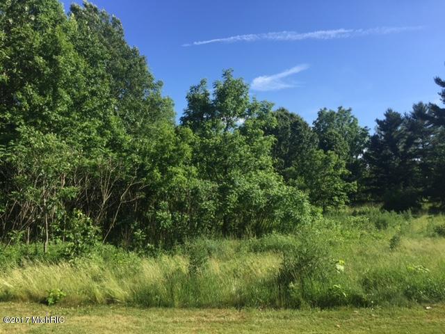 V/L Doster Road - Photo 1