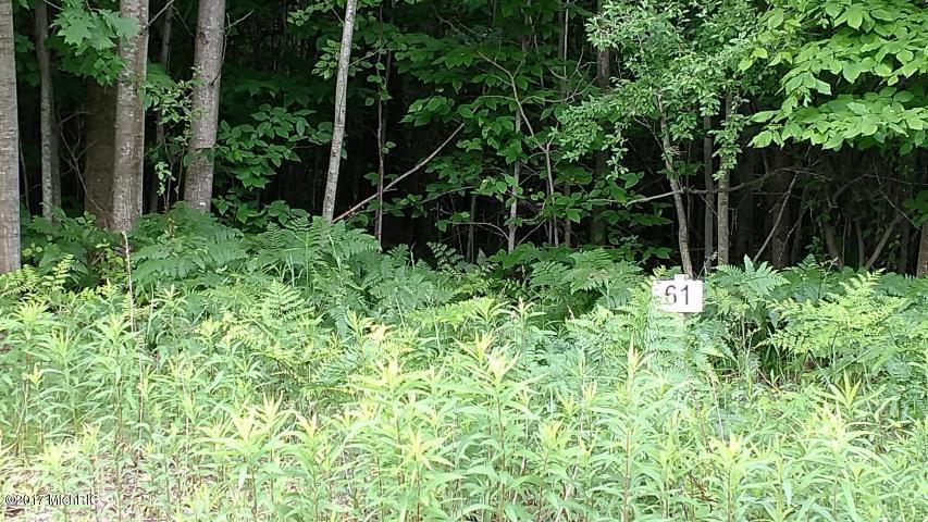 Lot 61 Starlight Ridge Circle - Photo 1