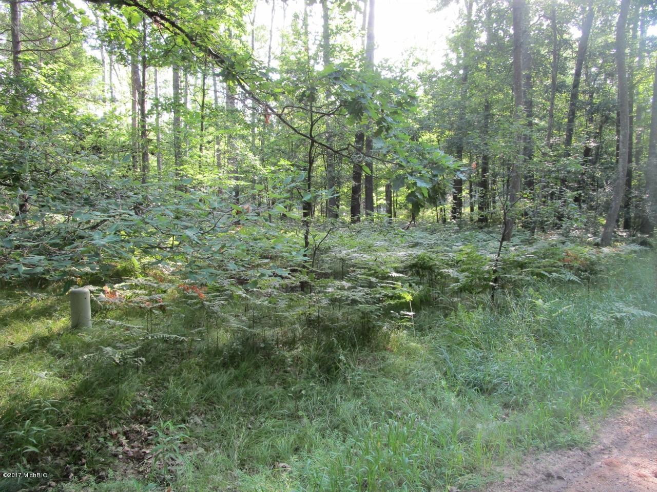 8190 Tanglewood Trail - Photo 1 8190 Tanglewood Trail - Photo 1