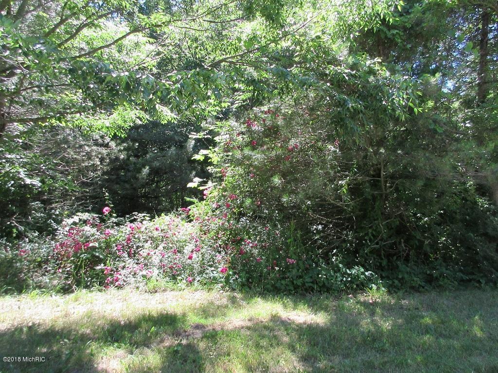 Lot C Maple Street - Photo 1