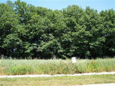 245 River Run Drive - Photo 1