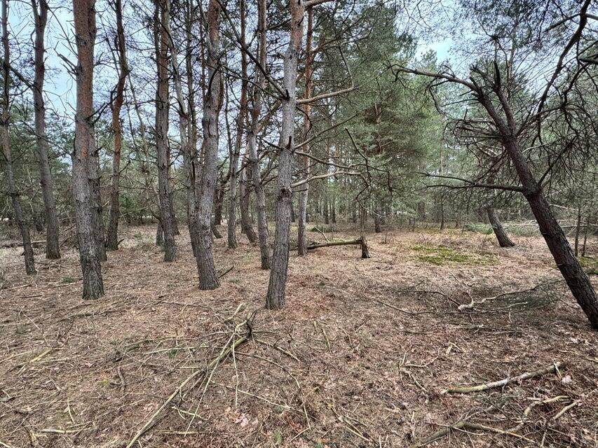 6526 Cedar Trace - Photo 1