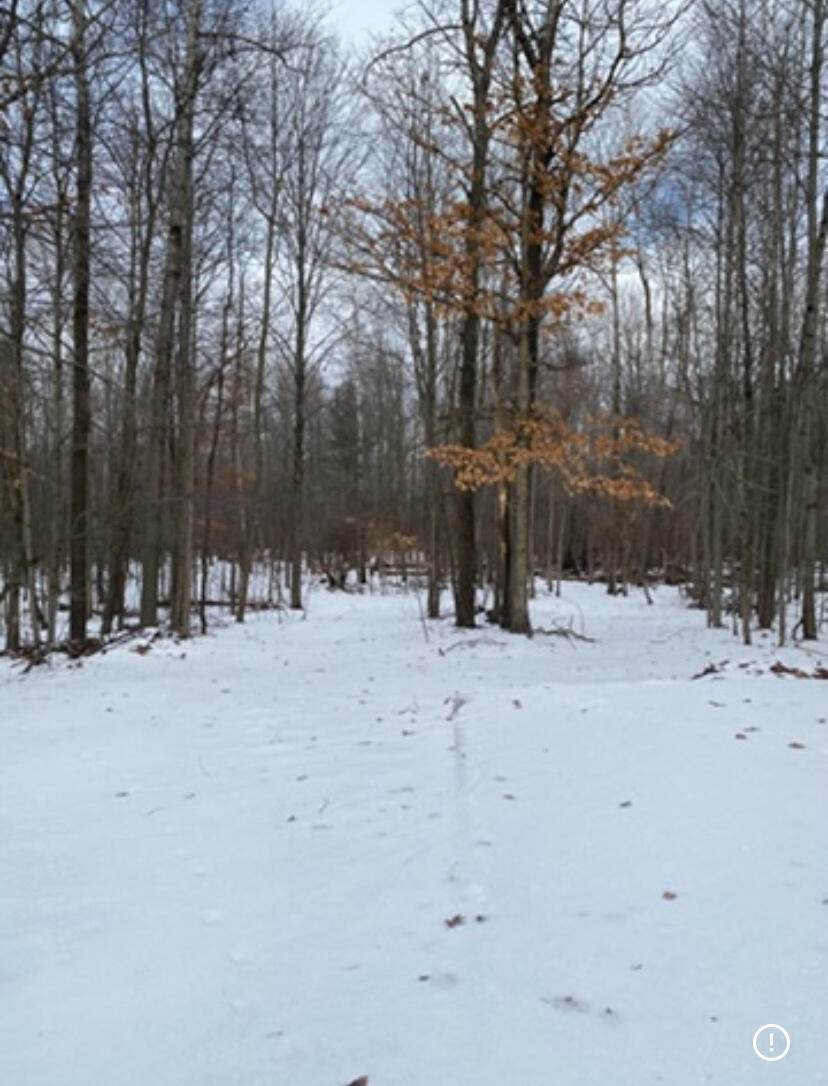 470 Mc Cord Street - Photo 1