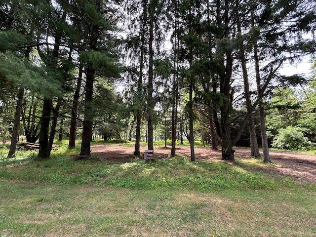 VL - LOT A Rawson Lane - Photo 1