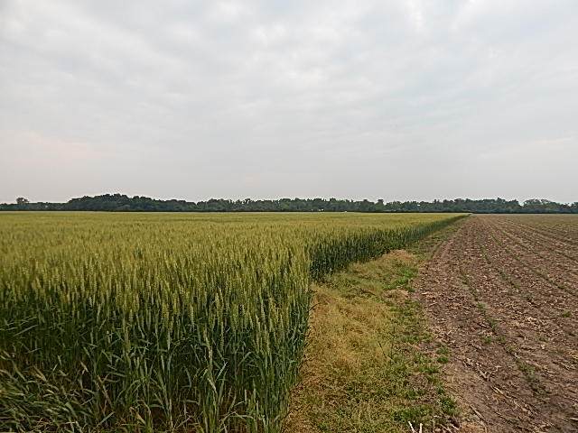 6200 Yankee Road - Photo 1