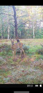 4177 Michway - Photo 33