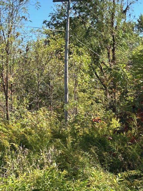 7300 Pontiac Trail - Photo 1