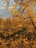 34.75 Washburn Road - Photo 22