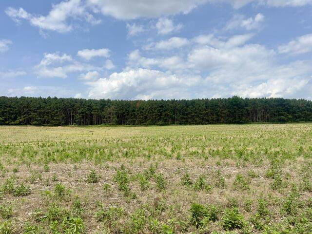 0 Seymour #E Road - Photo 1