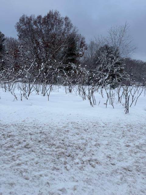  Mason Drive - Photo 1