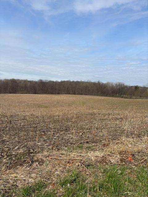  Warren Woods Road - Photo 1