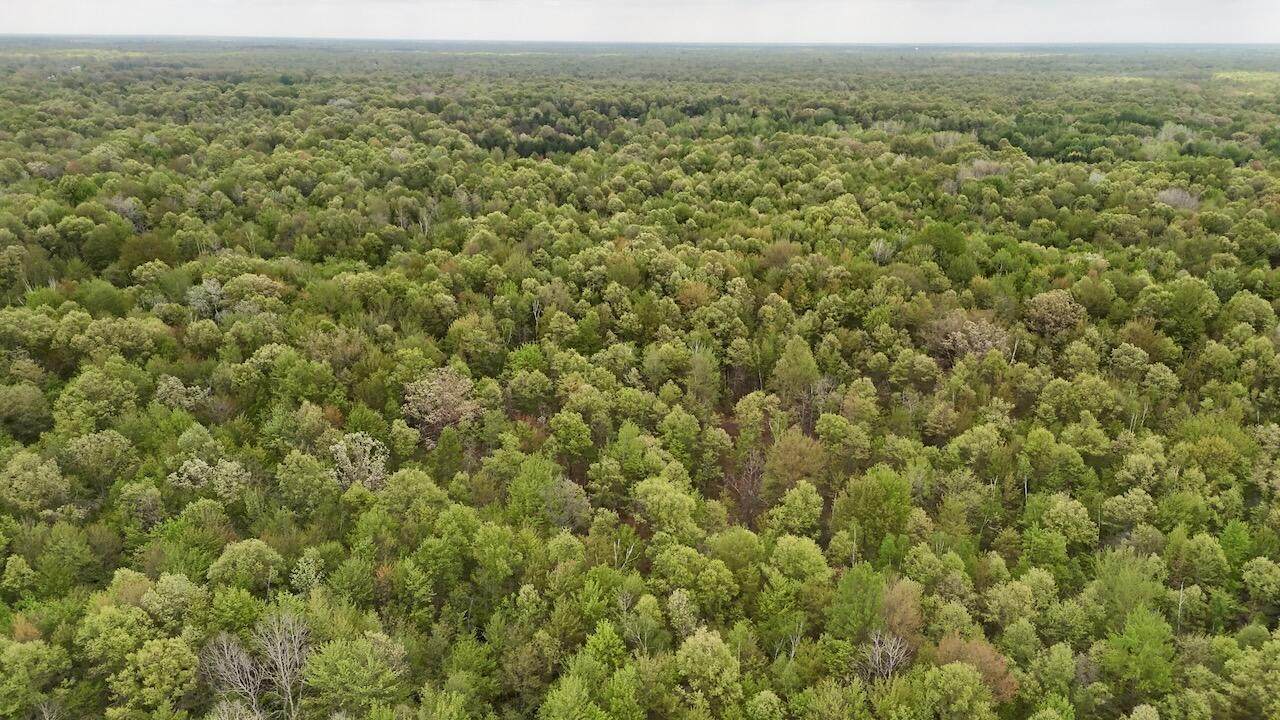  Magruder Road - Photo 1