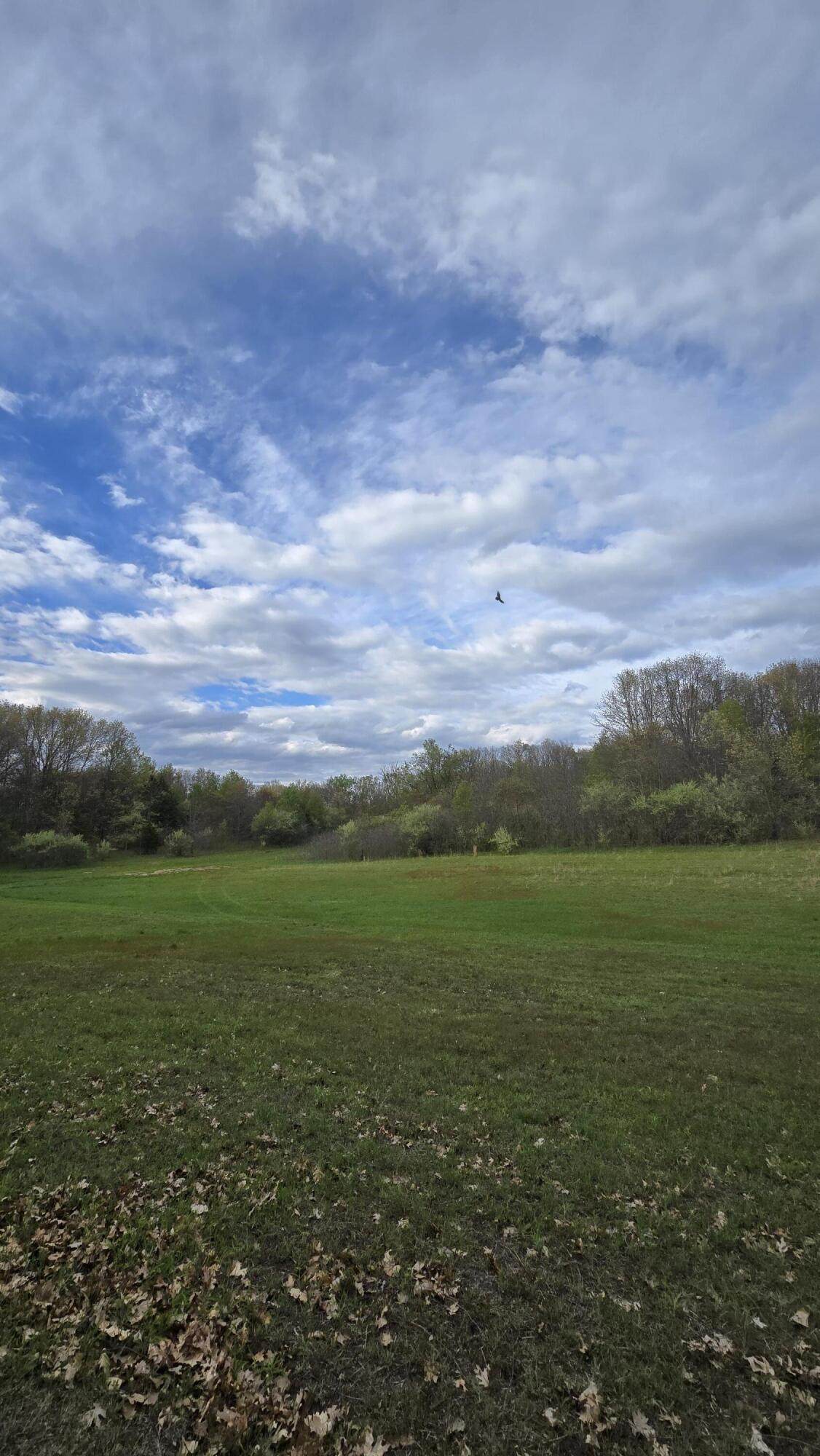 690 Pierce Road - Photo 1
