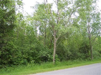 1 Lakeshore Drive - Photo 1