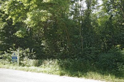 Coon Hollow - Photo 1