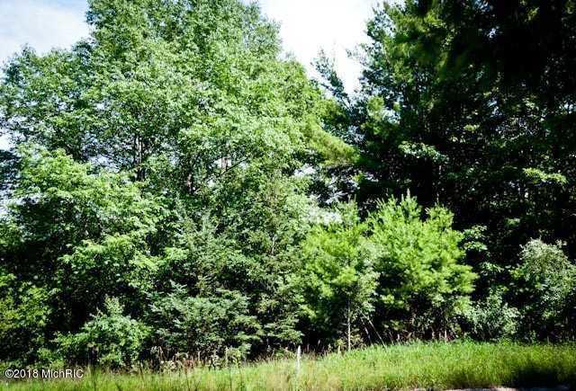 Lot 5 Old Freesoil Road - Photo 1